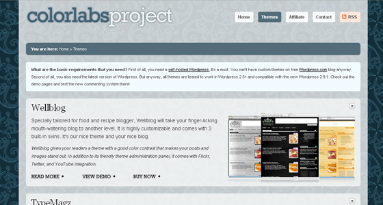 Wordpress Themes Provider