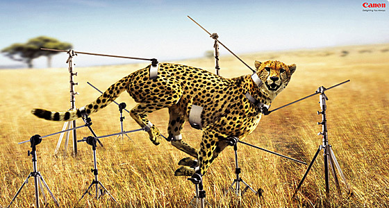Awesome Print Ads