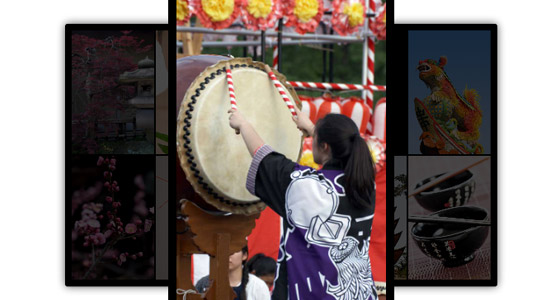Wordpress Photo gallery Themes