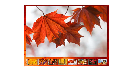 Wordpress Photo gallery Themes