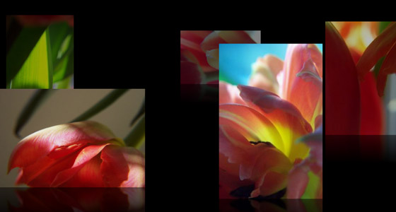 Wordpress Photo gallery Themes