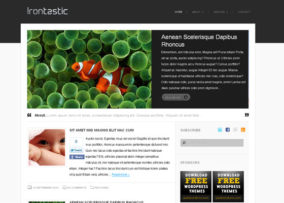 Free WordPress Themes