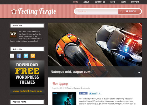 Free WordPress Themes