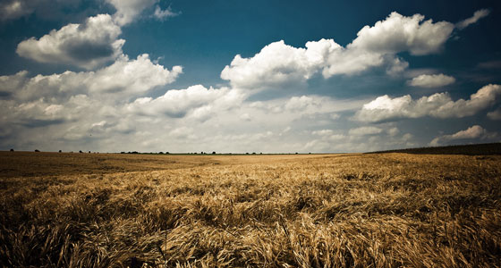 Summer Wallpapers
