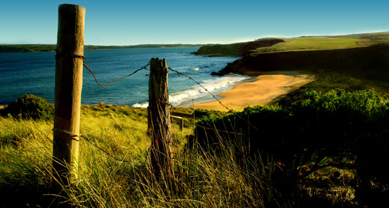 Summer Wallpapers