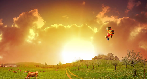 Summer Wallpapers