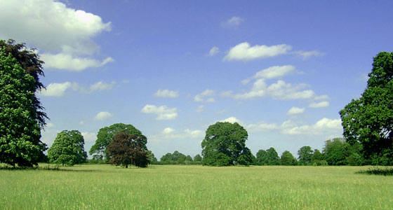 Summer Wallpapers