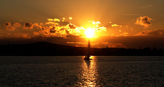 Summer Wallpapers
