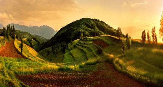Summer Wallpapers