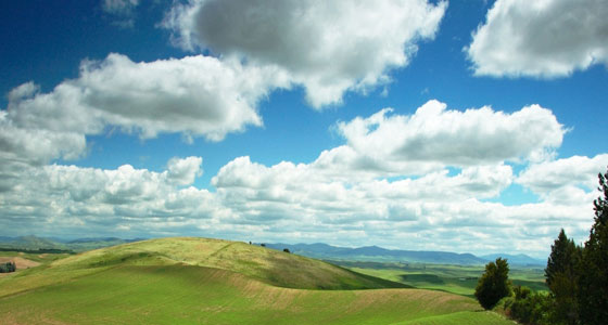 Summer Wallpapers