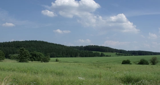 Summer Wallpapers