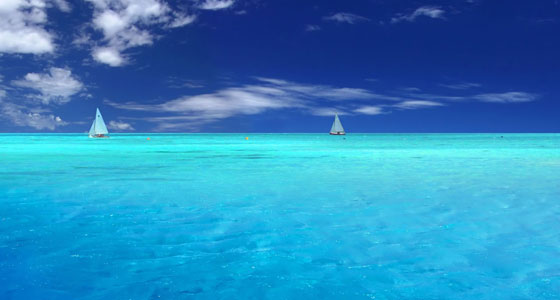 Summer Wallpapers