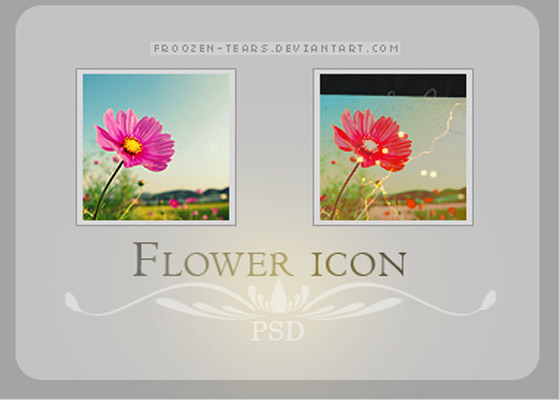 free Psd files