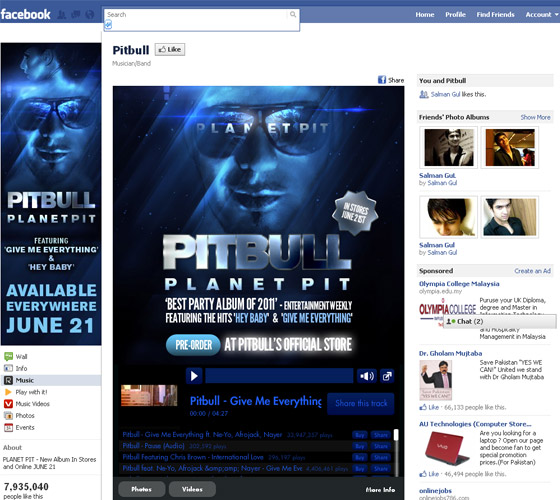 Facebook Fans Pages