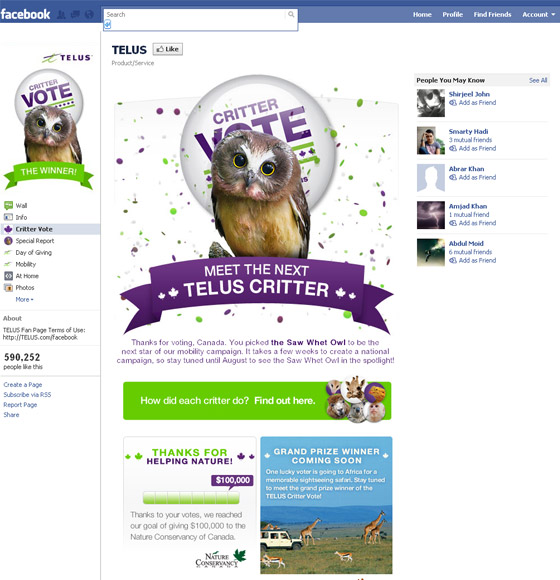 Facebook Fans Pages
