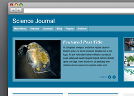 Beautiful Free WordPress Themes