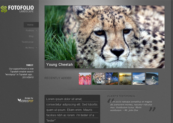 Beautiful Free WordPress Themes