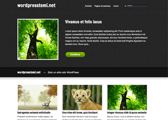 Beautiful Free WordPress Themes