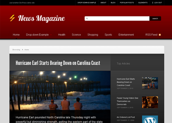Beautiful Free WordPress Themes