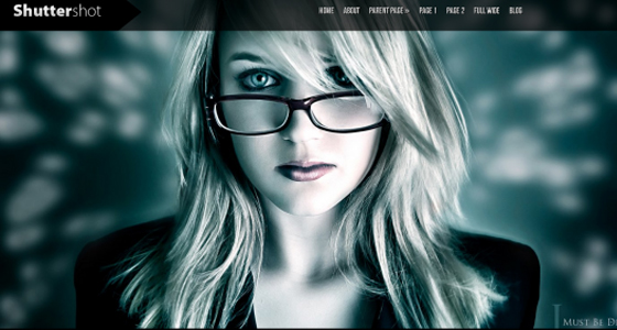 Beautiful Free WordPress Themes