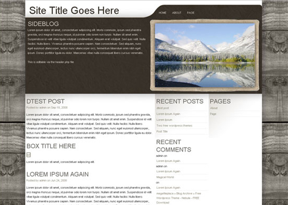 Beautiful Free WordPress Themes