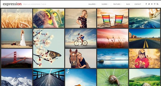 HTML5 Responsive WordPress Themes