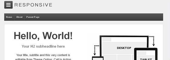 HTML5 Responsive WordPress Themes