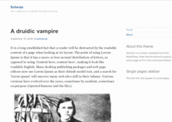 HTML5 Responsive WordPress Themes