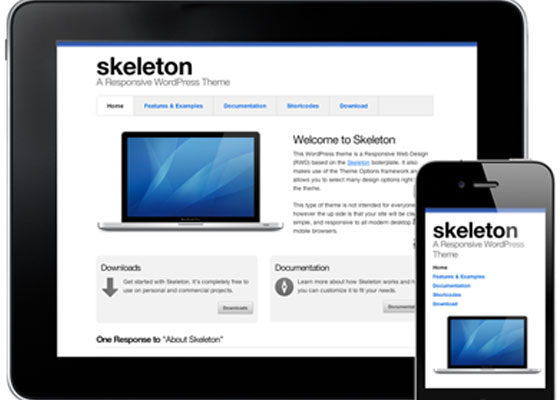 HTML5 Responsive WordPress Themes