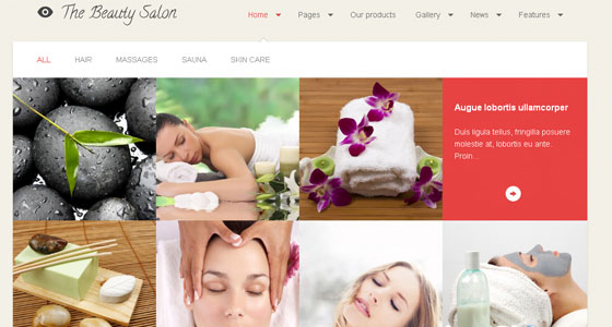 HTML5 Responsive WordPress Themes