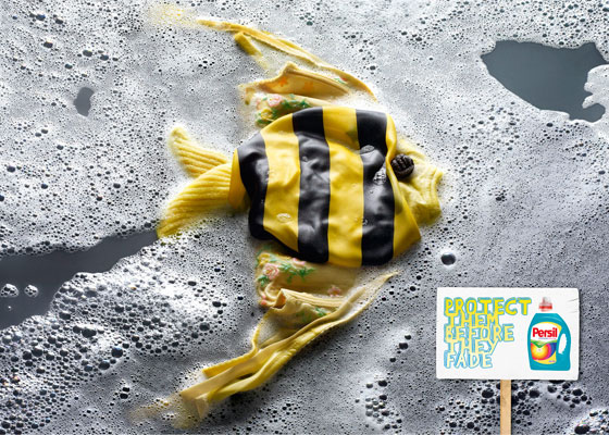 persil fish
