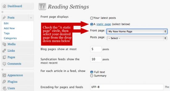 WordPress Plugins