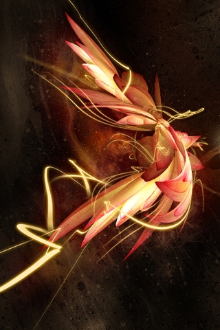 iphone wallapaper