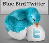 Blue Bird Twitter Icons Pack