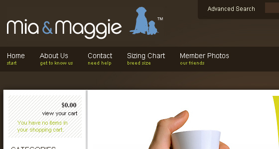 Eye-Catching Navigation Menus