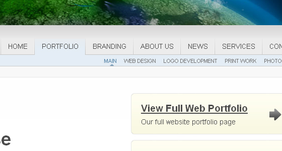 Eye-Catching Navigation Menus
