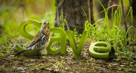 Examples of Amazing Typography