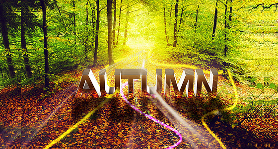 Examples of Amazing Typography