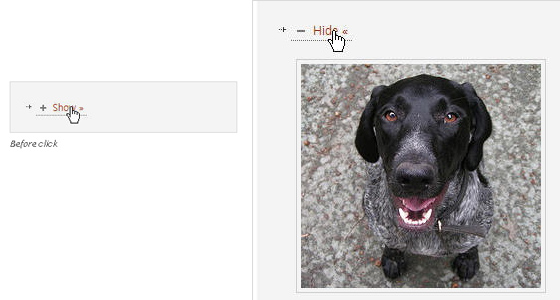 Useful jQuery plugins for wordpress