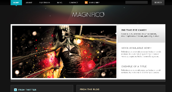 Professional Free Psd Themes