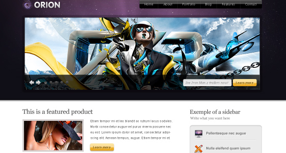 Professional Free Psd Themes