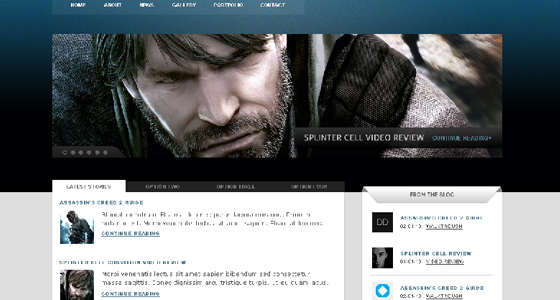 Professional Free Psd Themes