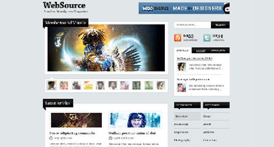 Professional Free Psd Themes
