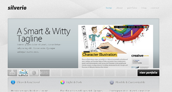 Professional Free Psd Themes