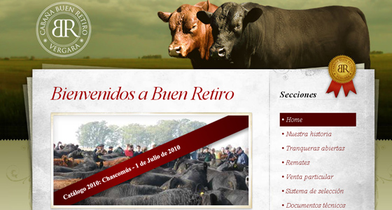 Websites with large backgrounds