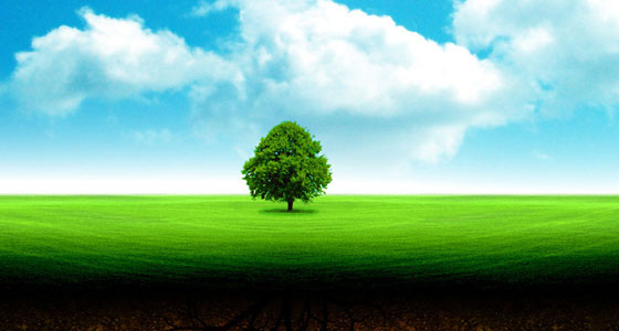 Beautifull Wallpapers