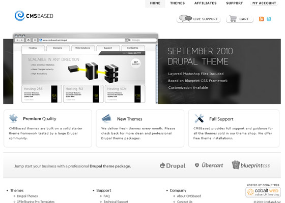 Best Drupal Themes Providers