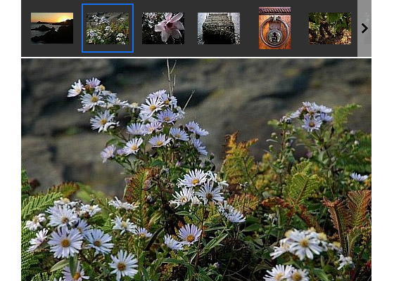 Wordpress Gallery Plugins Free