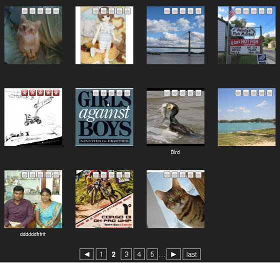 Wordpress Gallery Plugins Free