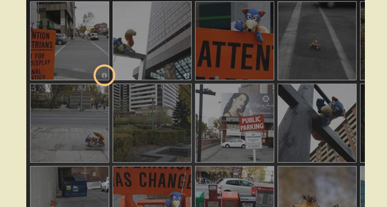 Wordpress Gallery Plugins Free